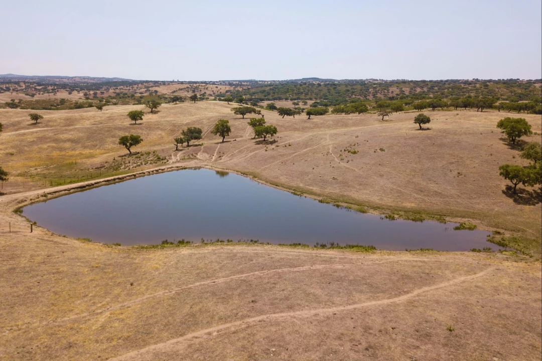 Terreno para Venda em Sobral da Adiça Foto 7
