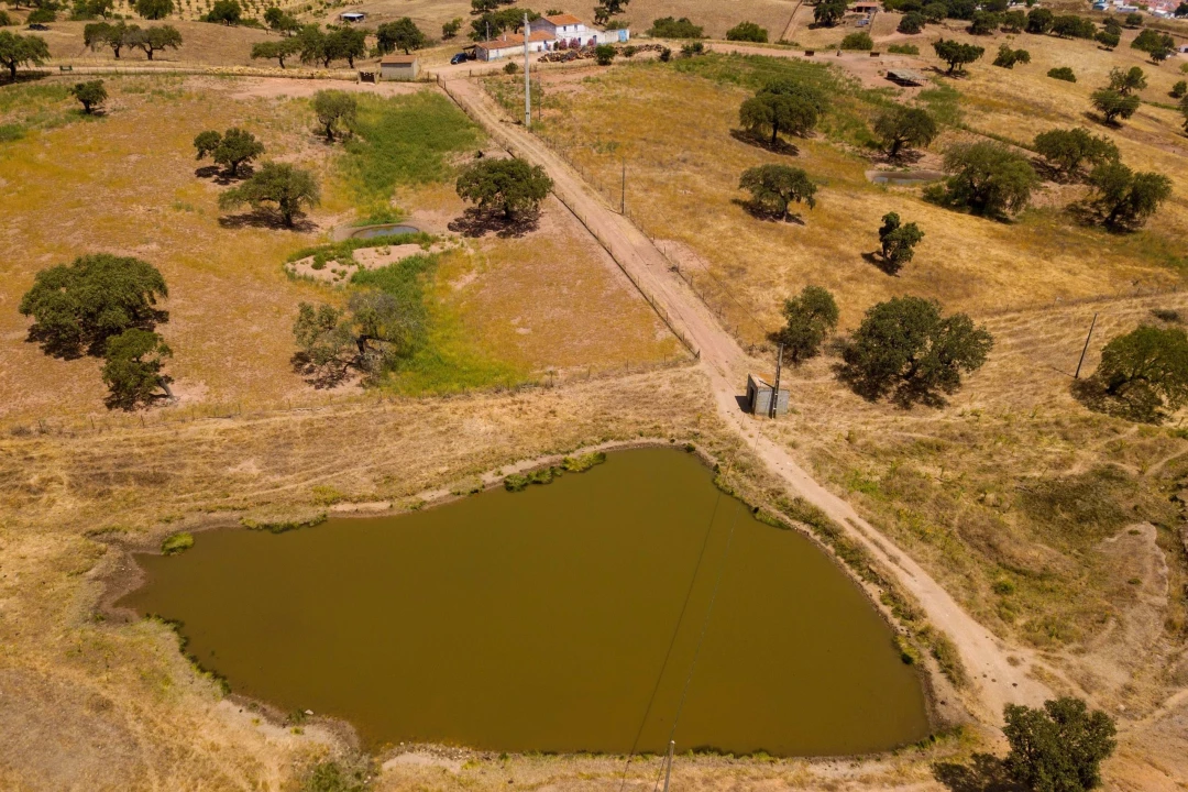 Terreno para Venda em Sobral da Adiça Foto 12