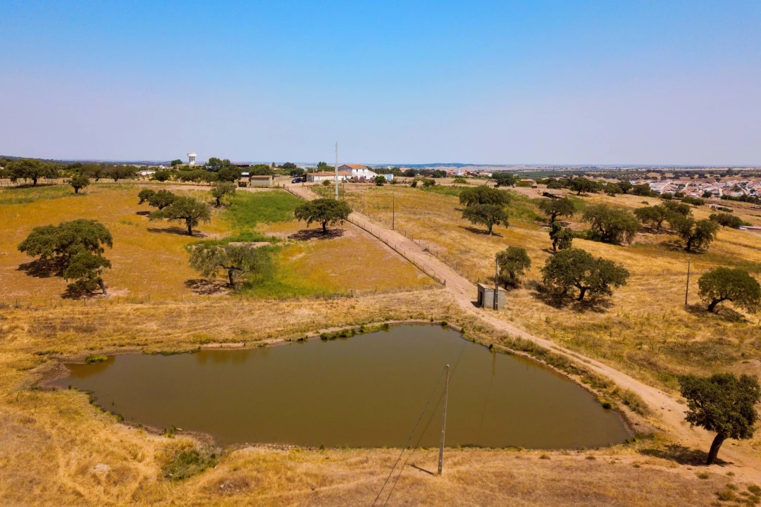 Terreno para Venda em Sobral da Adiça Foto 6