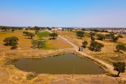 Quinta para Venda em Sobral da Adiça