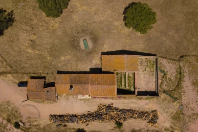 Quinta para Venda em Sobral da Adiça