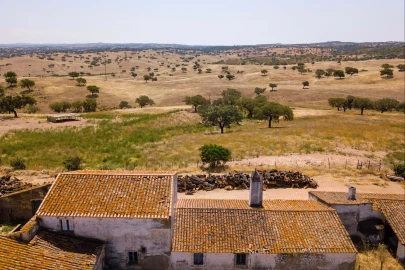 Quinta para Venda em Sobral da Adiça