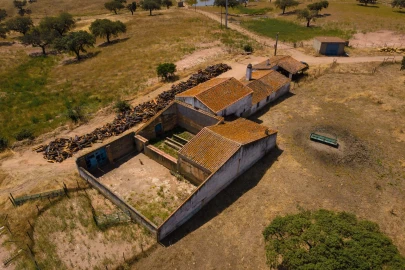 Quinta para Venda em Sobral da Adiça