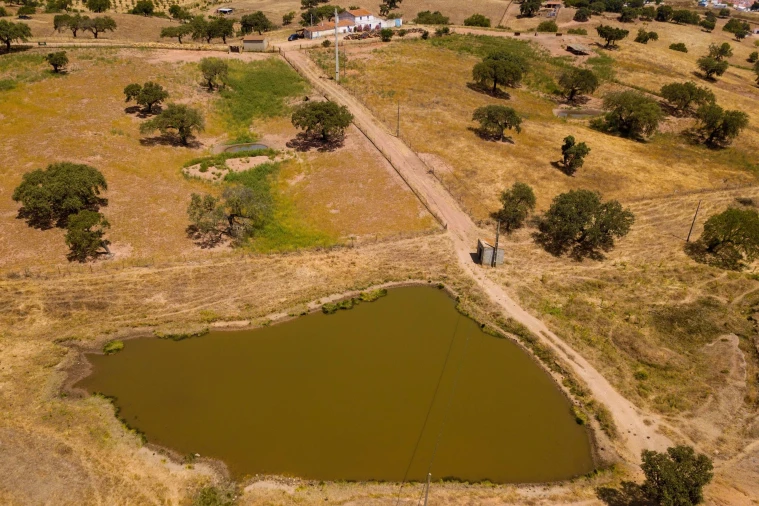Terreno para Venda em Sobral da Adiça Foto 12
