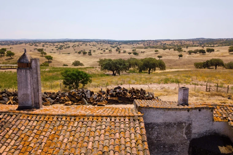Terreno para Venda em Sobral da Adiça Foto 11