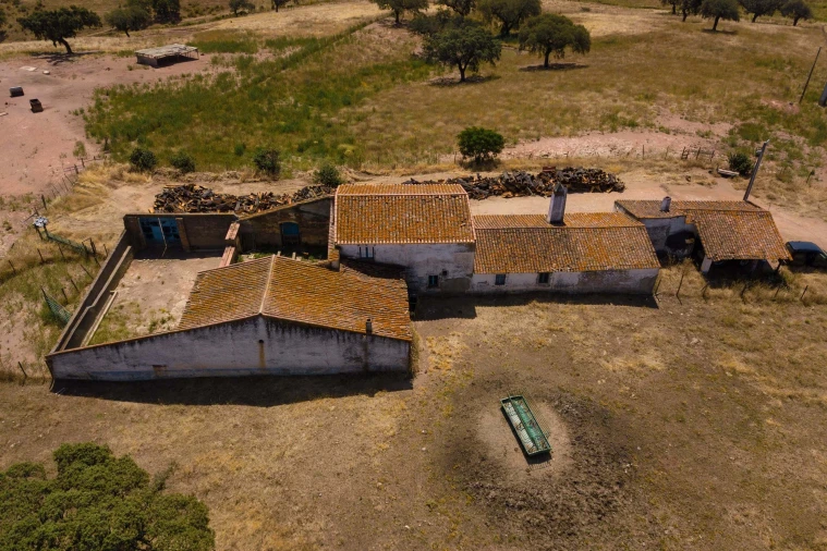 Terreno para Venda em Sobral da Adiça Foto 18