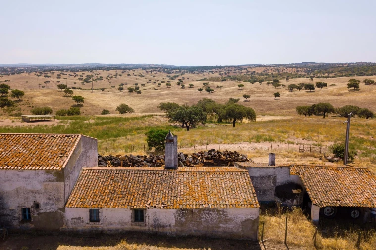 Terreno para Venda em Sobral da Adiça Foto 10