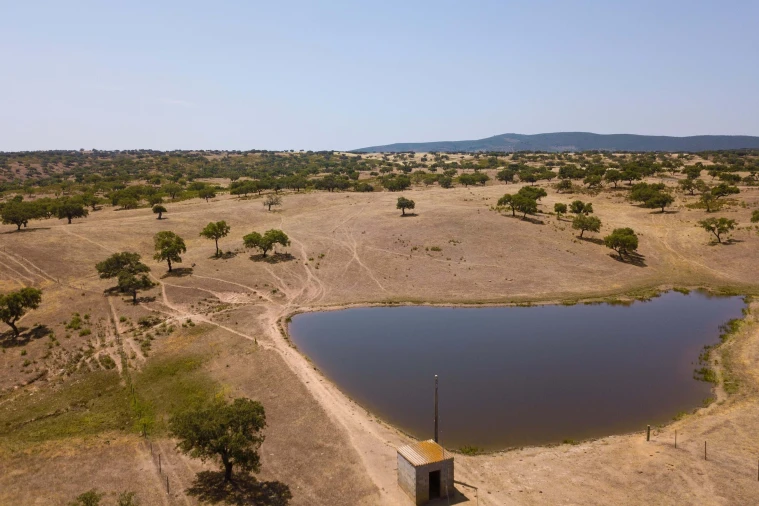 Terreno para Venda em Sobral da Adiça Foto 13
