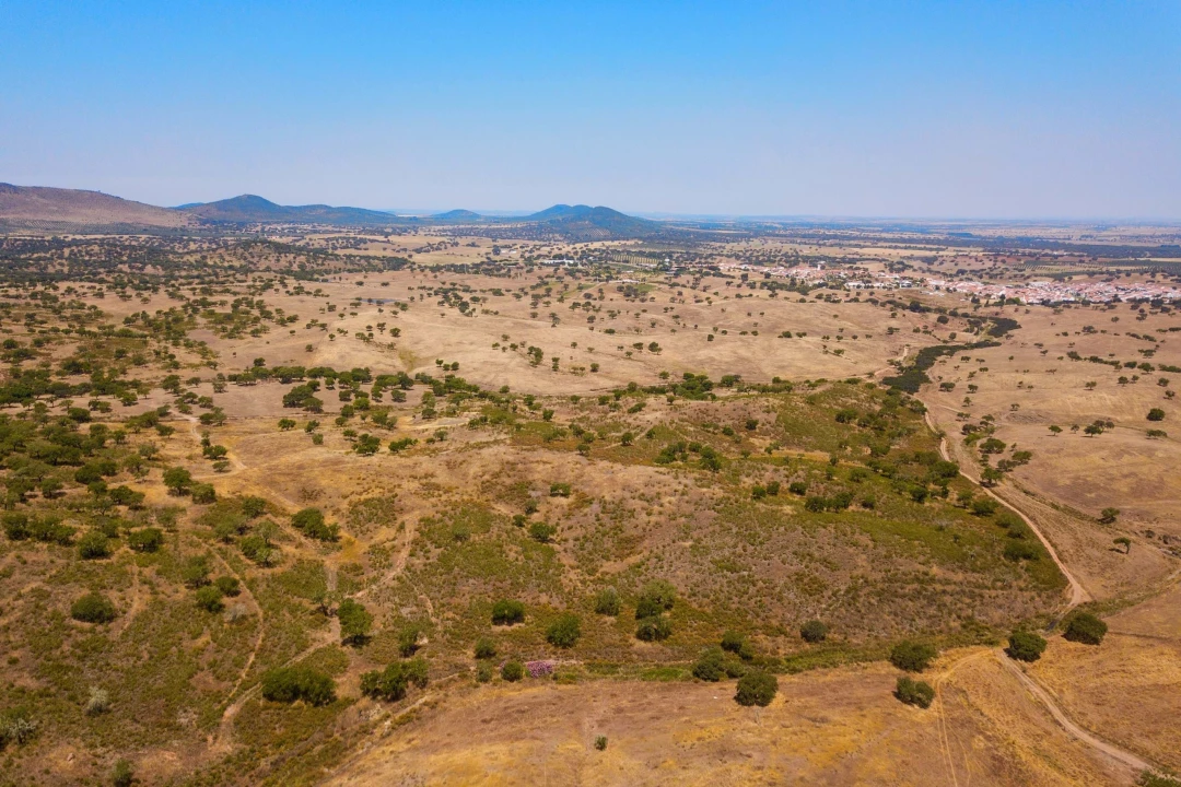 Quinta para Venda em Sobral da Adiça Foto 17