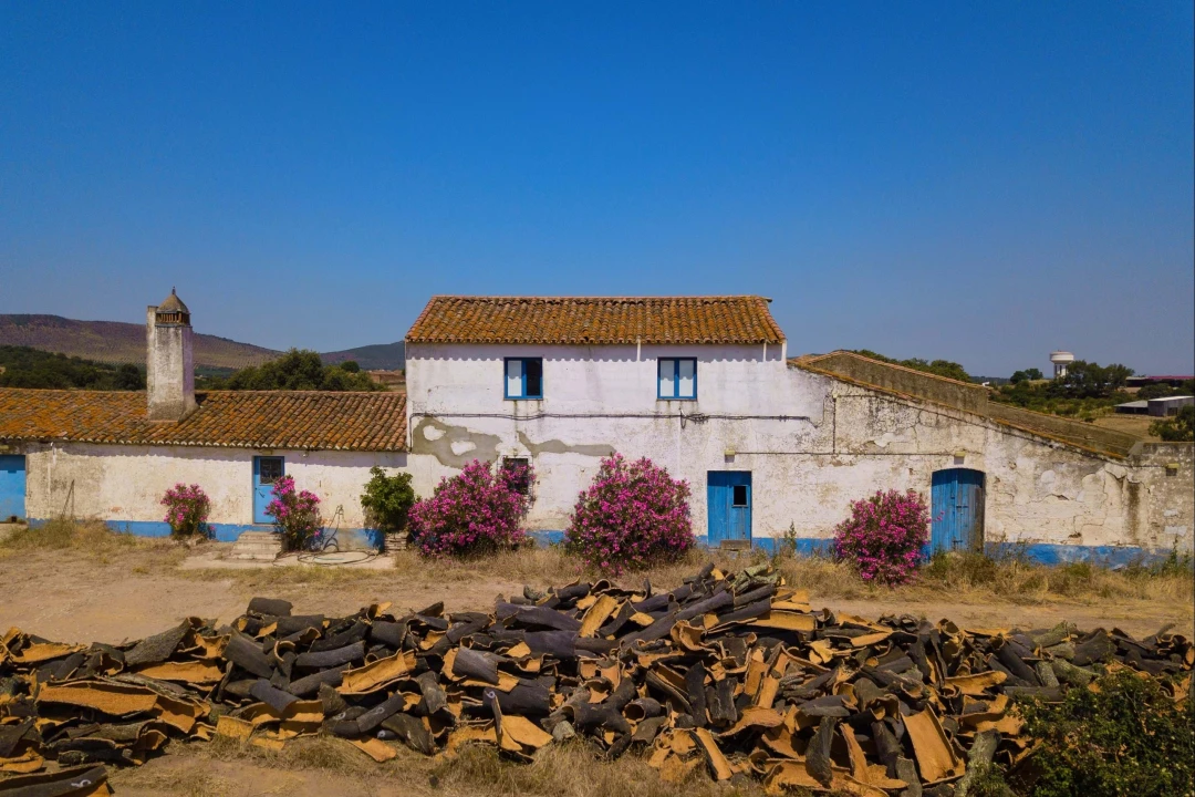 Terreno para Venda em Sobral da Adiça Foto 17