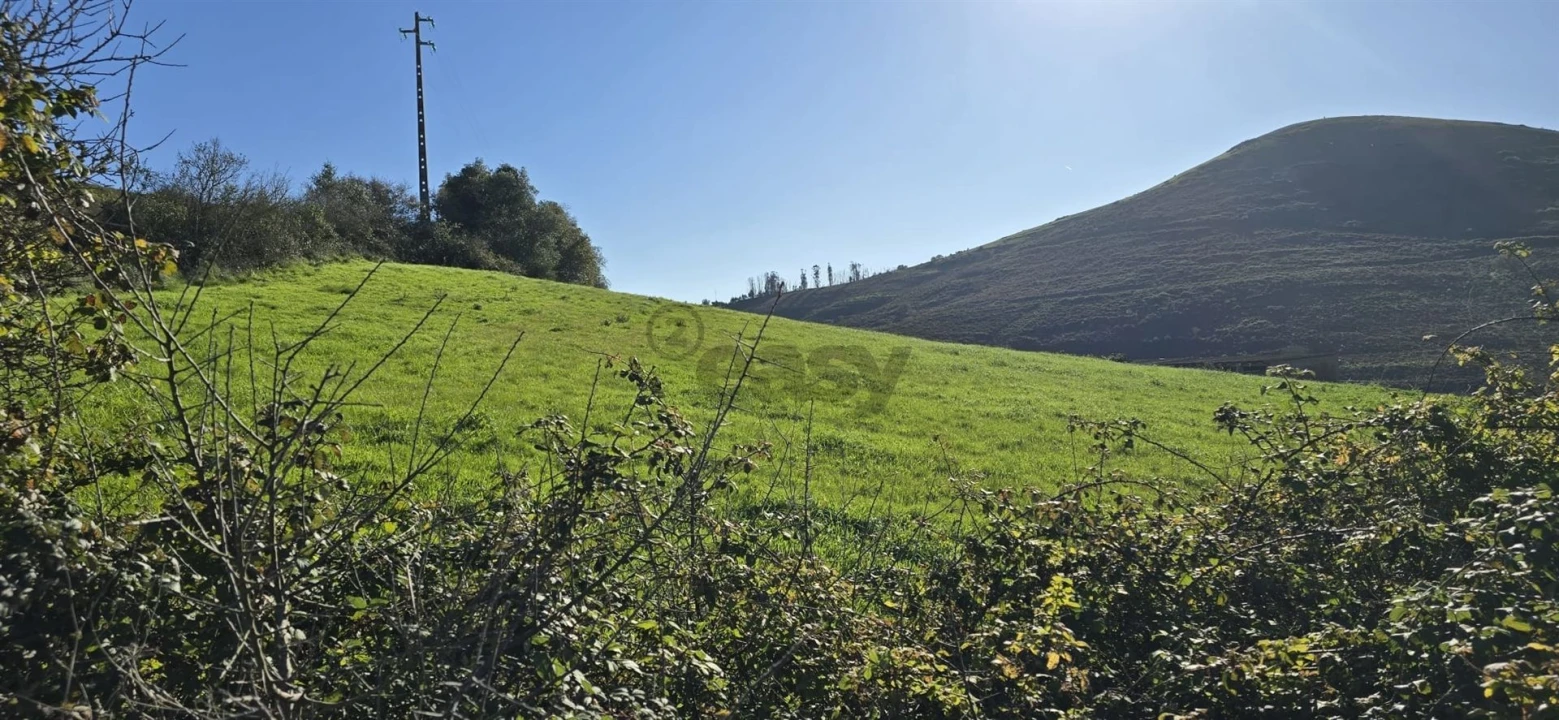 Terreno Agricola ou Rústico para Venda em Malveira e São Miguel de Alcainça Foto 1
