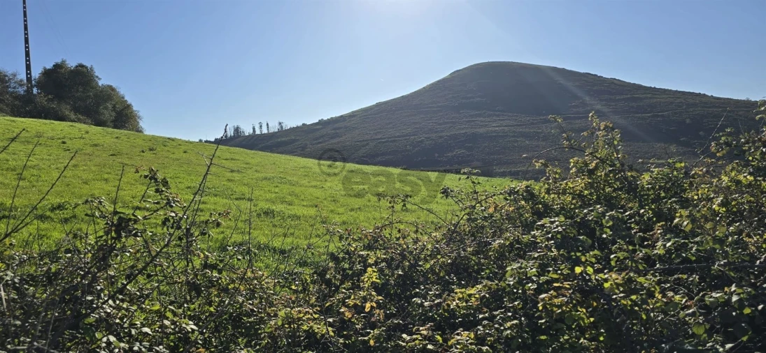 Terreno Agricola ou Rústico para Venda em Malveira e São Miguel de Alcainça Foto 2