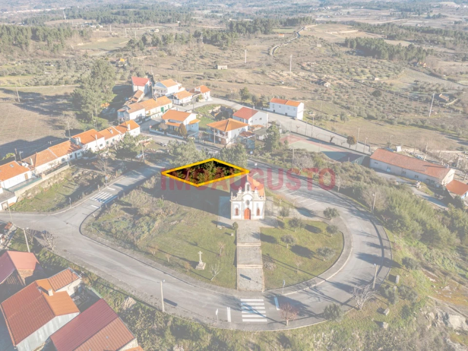 Terreno para Venda em Alverca da Beira/Bouça Cova Foto 1