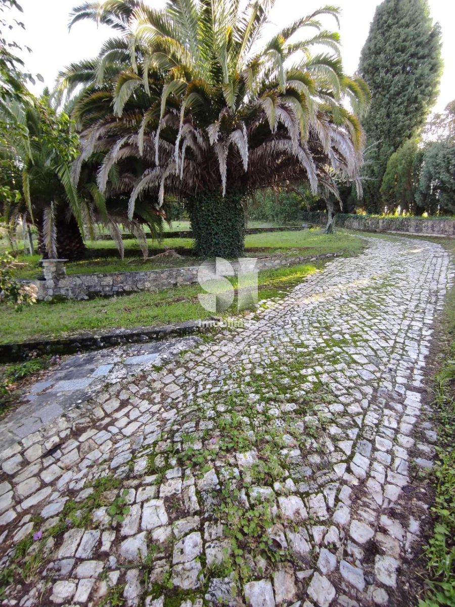 Quinta T6 para Venda em Arcos e Mogofores Foto 21