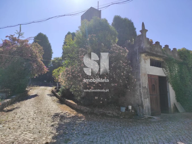 Quinta T6 para Venda em Arcos e Mogofores Foto 28