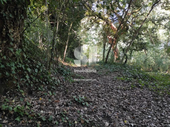 Quinta T6 para Venda em Arcos e Mogofores Foto 31