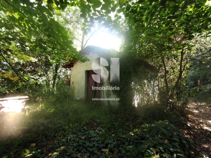 Quinta T6 para Venda em Arcos e Mogofores Foto 32