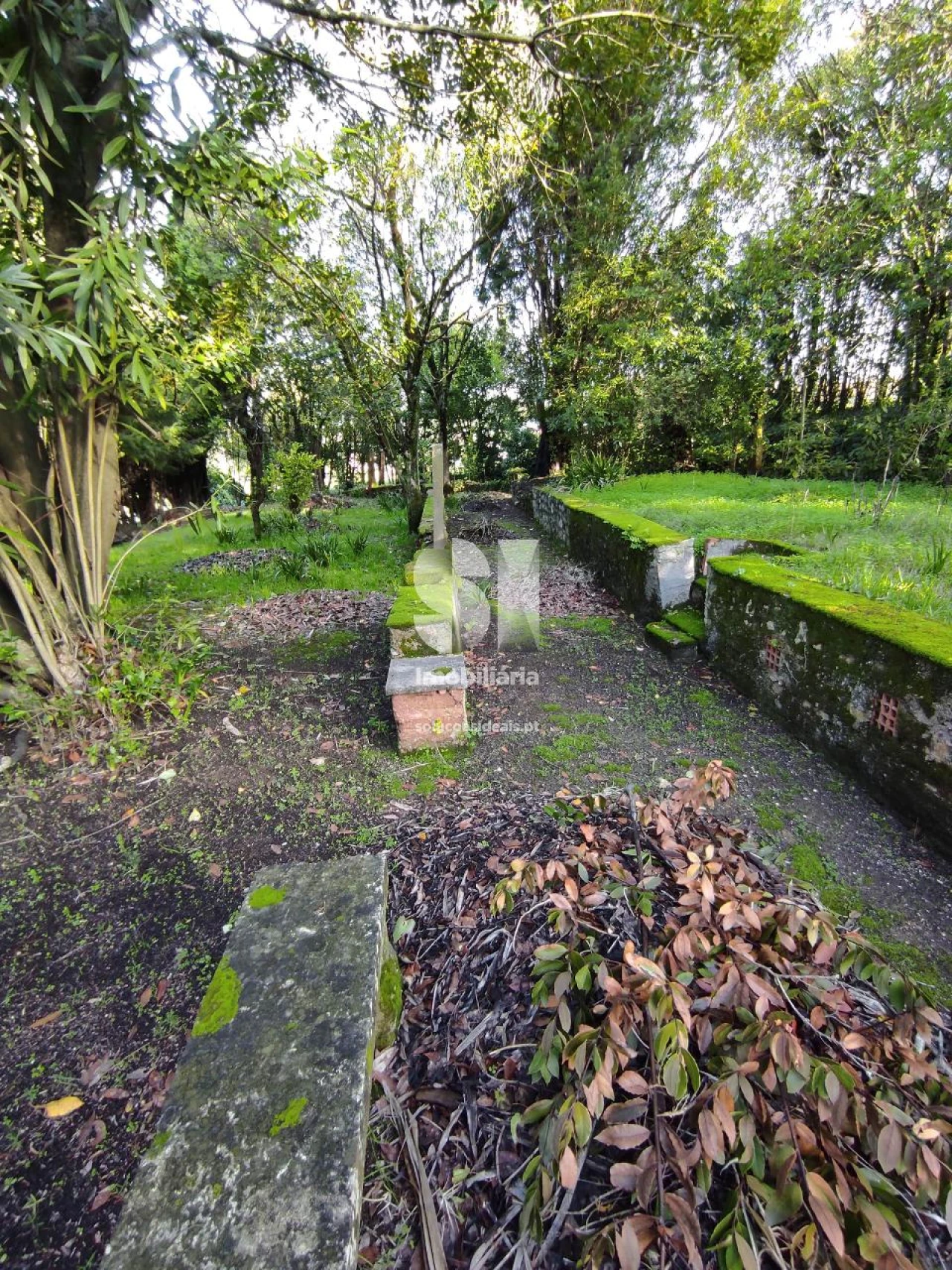 Quinta T6 para Venda em Arcos e Mogofores Foto 20