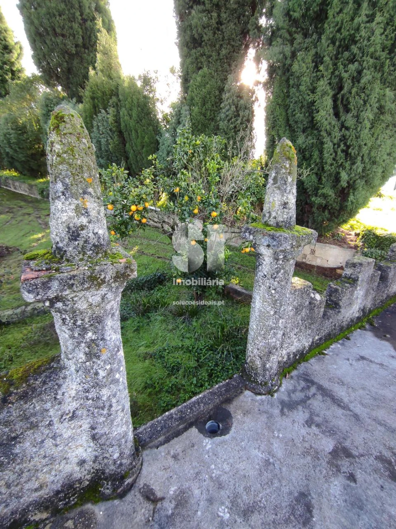 Quinta T6 para Venda em Arcos e Mogofores Foto 19