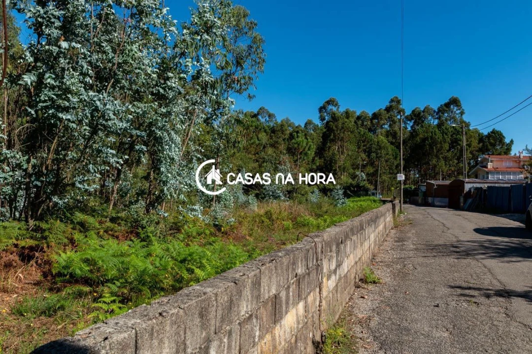 Terreno para Venda em Argoncilhe Foto 2