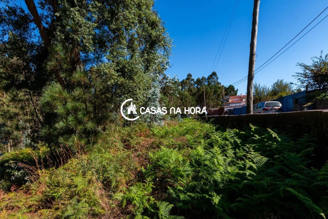 Terreno para Venda em Argoncilhe Foto 4