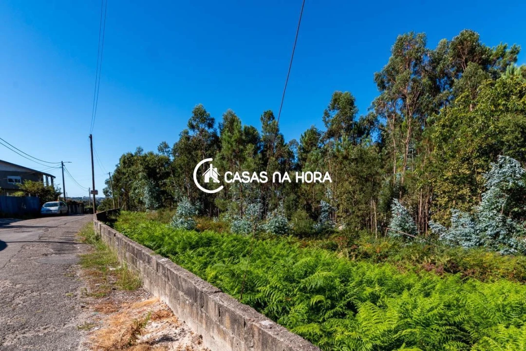 Terreno para Venda em Argoncilhe Foto 8