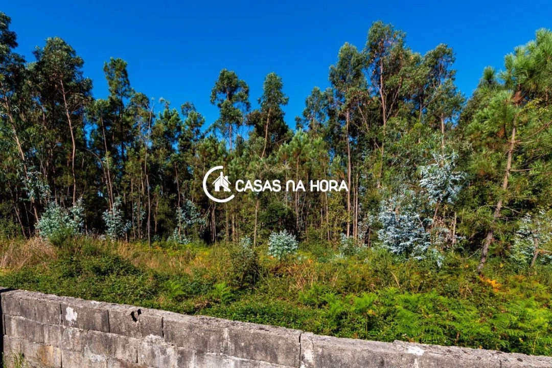 Terreno para Venda em Argoncilhe Foto 10
