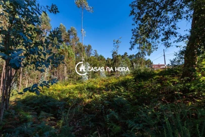 Terreno para Venda em Argoncilhe