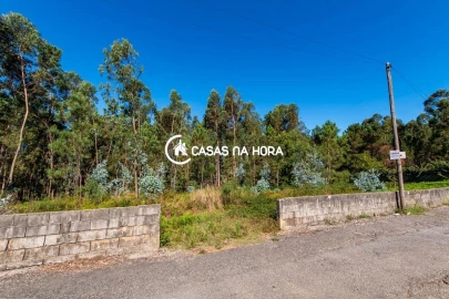 Terreno para Venda em Argoncilhe