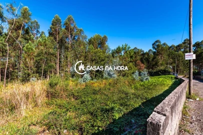 Terreno para Venda em Argoncilhe