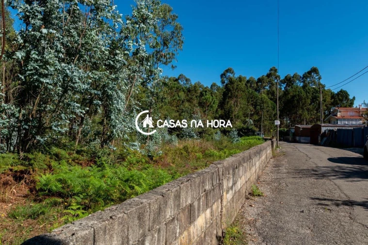 Terreno para Venda em Argoncilhe Foto 2