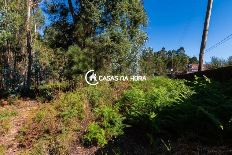 Terreno para Venda em Argoncilhe Foto 5