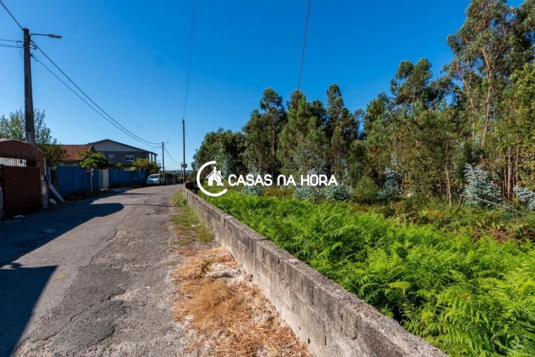 Terreno para Venda em Argoncilhe Foto 9