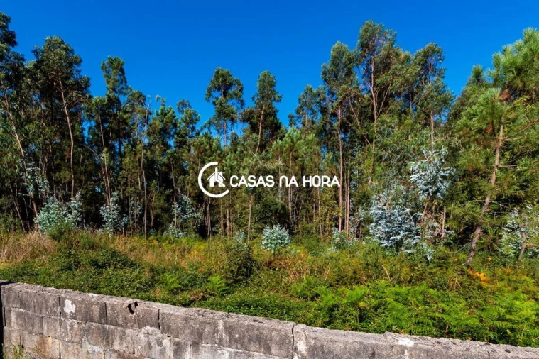 Terreno para Venda em Argoncilhe Foto 10