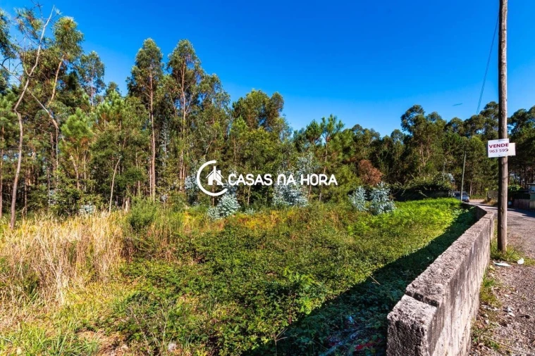 Terreno para Venda em Argoncilhe Foto 12