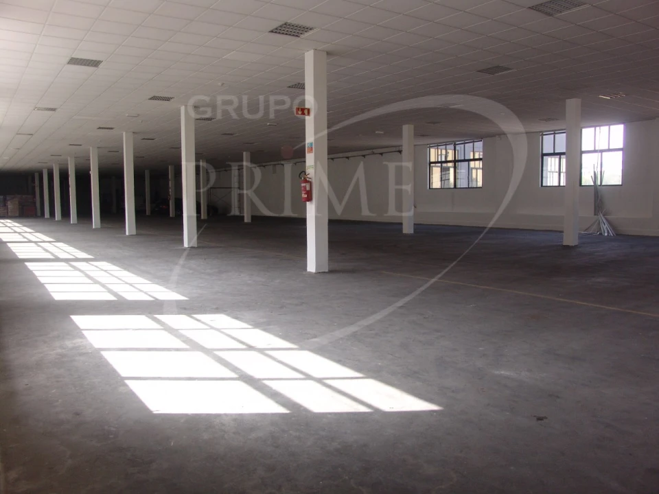 Armazém para Arrendamento em Paranhos Foto 10