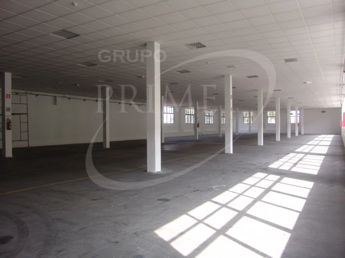 Armazém para Arrendamento em Paranhos Foto 8