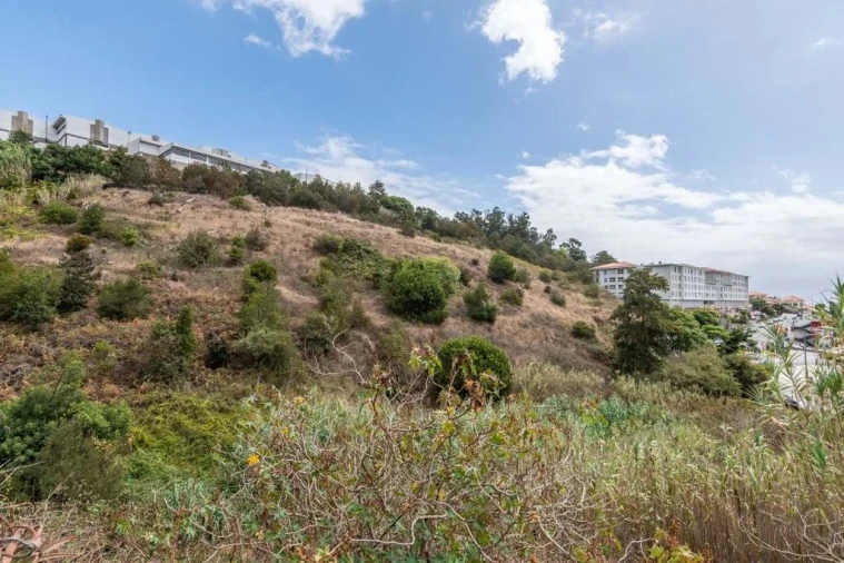 Terreno para Venda em Caniço Foto 6