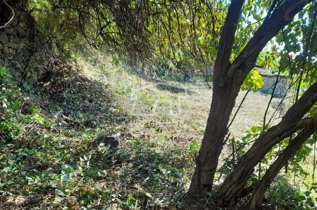 Terreno para Venda em Gaula Foto 8