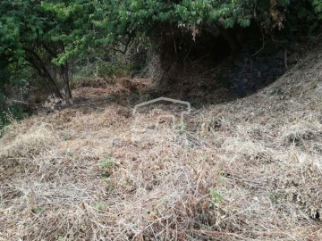 Terreno para Venda em Gaula