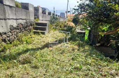 Terreno para Venda em Gaula