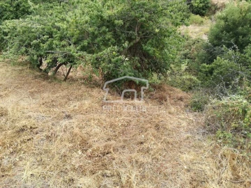Terreno para Venda em Gaula