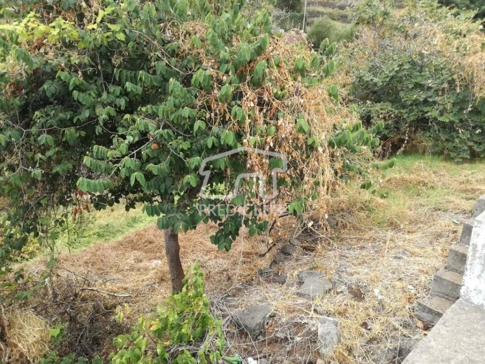 Terreno para Venda em Gaula Foto 2
