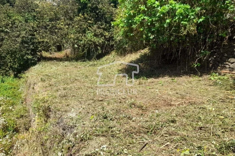 Terreno para Venda em Gaula Foto 6