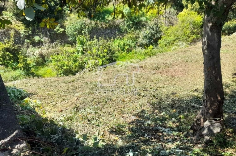 Terreno para Venda em Gaula Foto 12