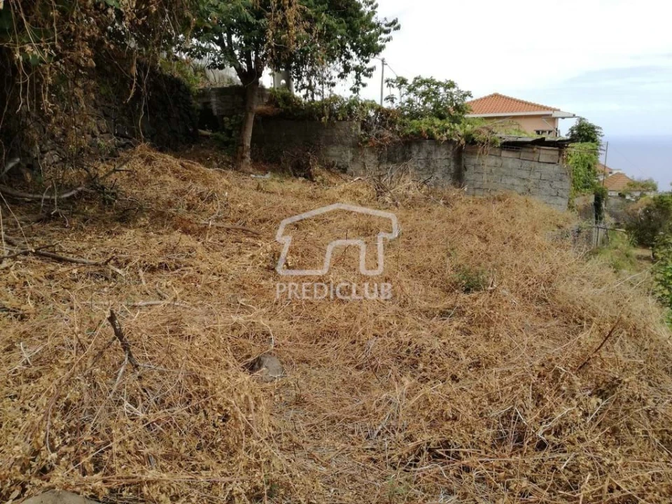 Terreno para Venda em Gaula Foto 4