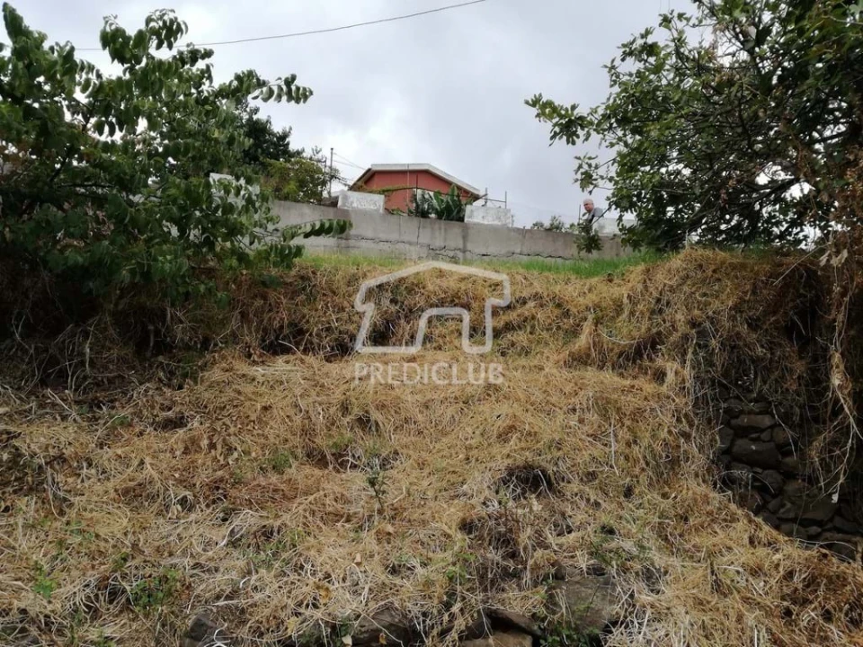 Terreno para Venda em Gaula Foto 10