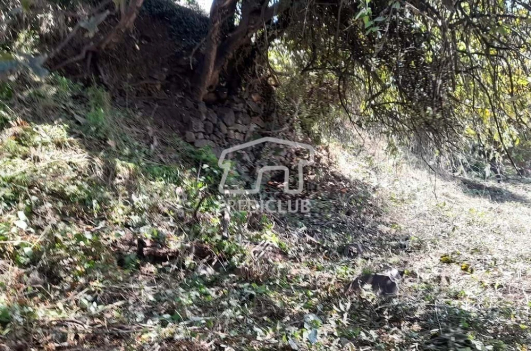 Terreno para Venda em Gaula Foto 11