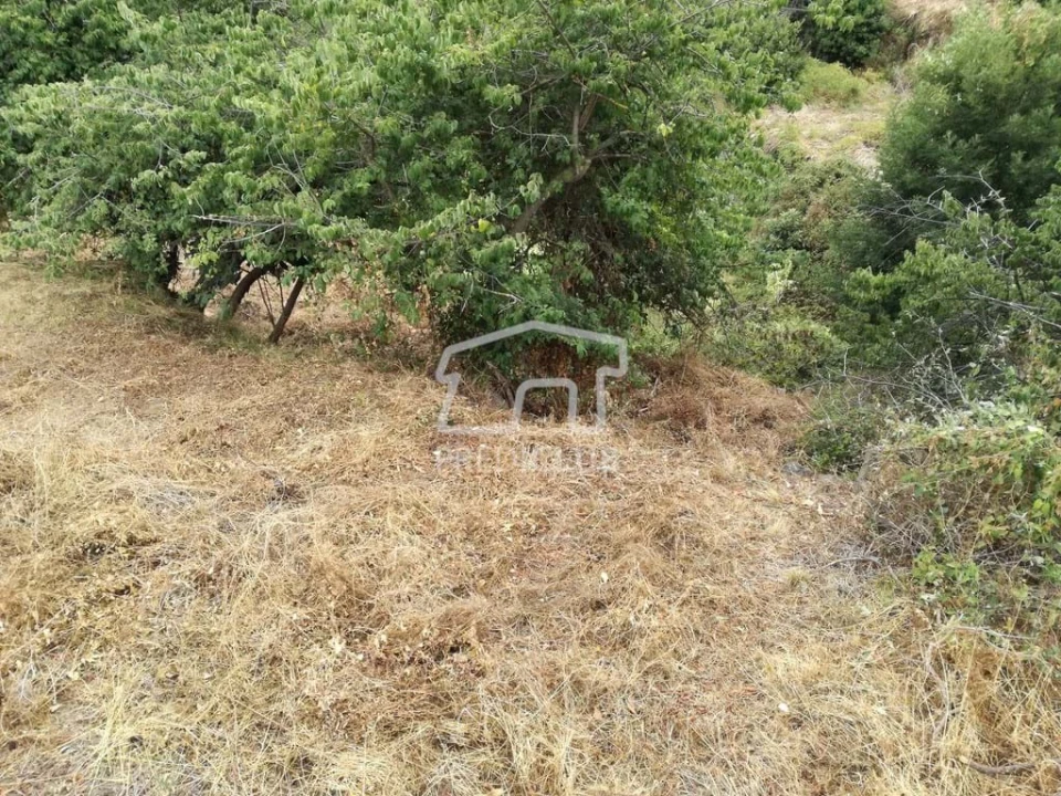 Terreno para Venda em Gaula Foto 1