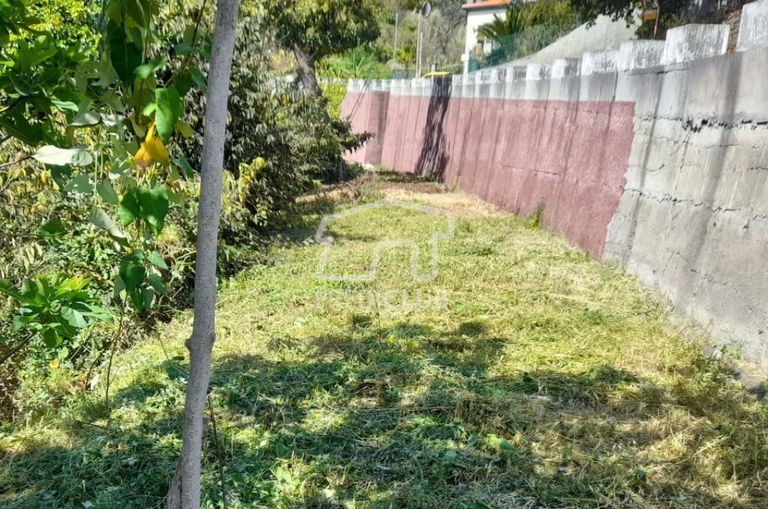 Terreno para Venda em Gaula Foto 3